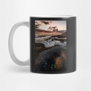 Oregon Tide Pools Mug